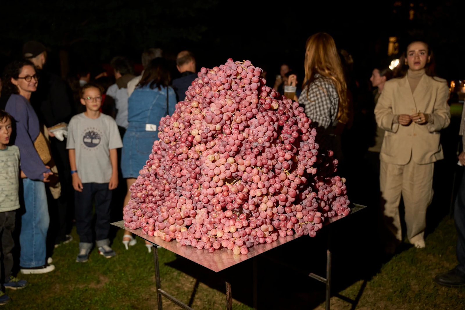 Installazione rosa e pubblico nel parco