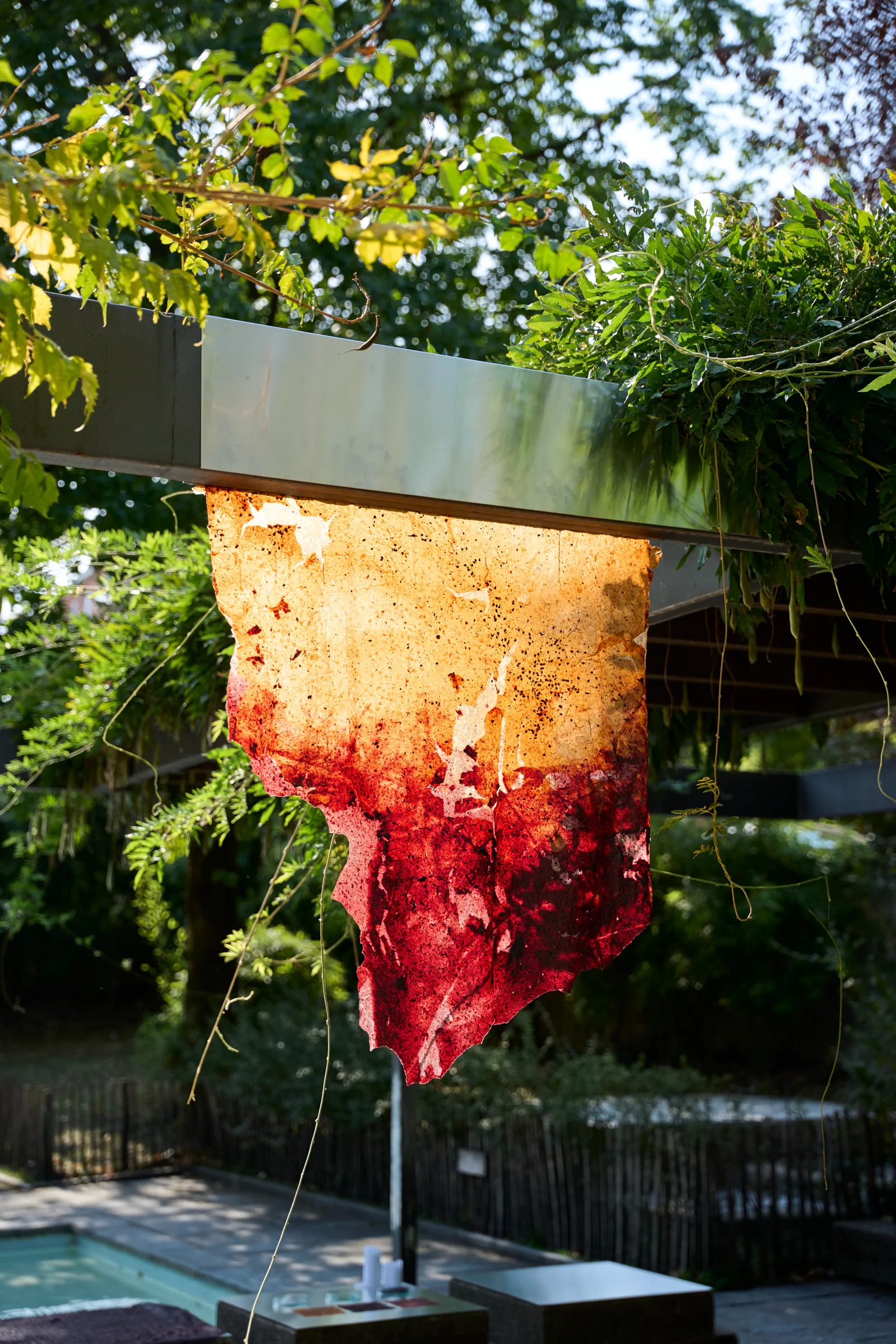 Installazione colorata tra gli alberi
