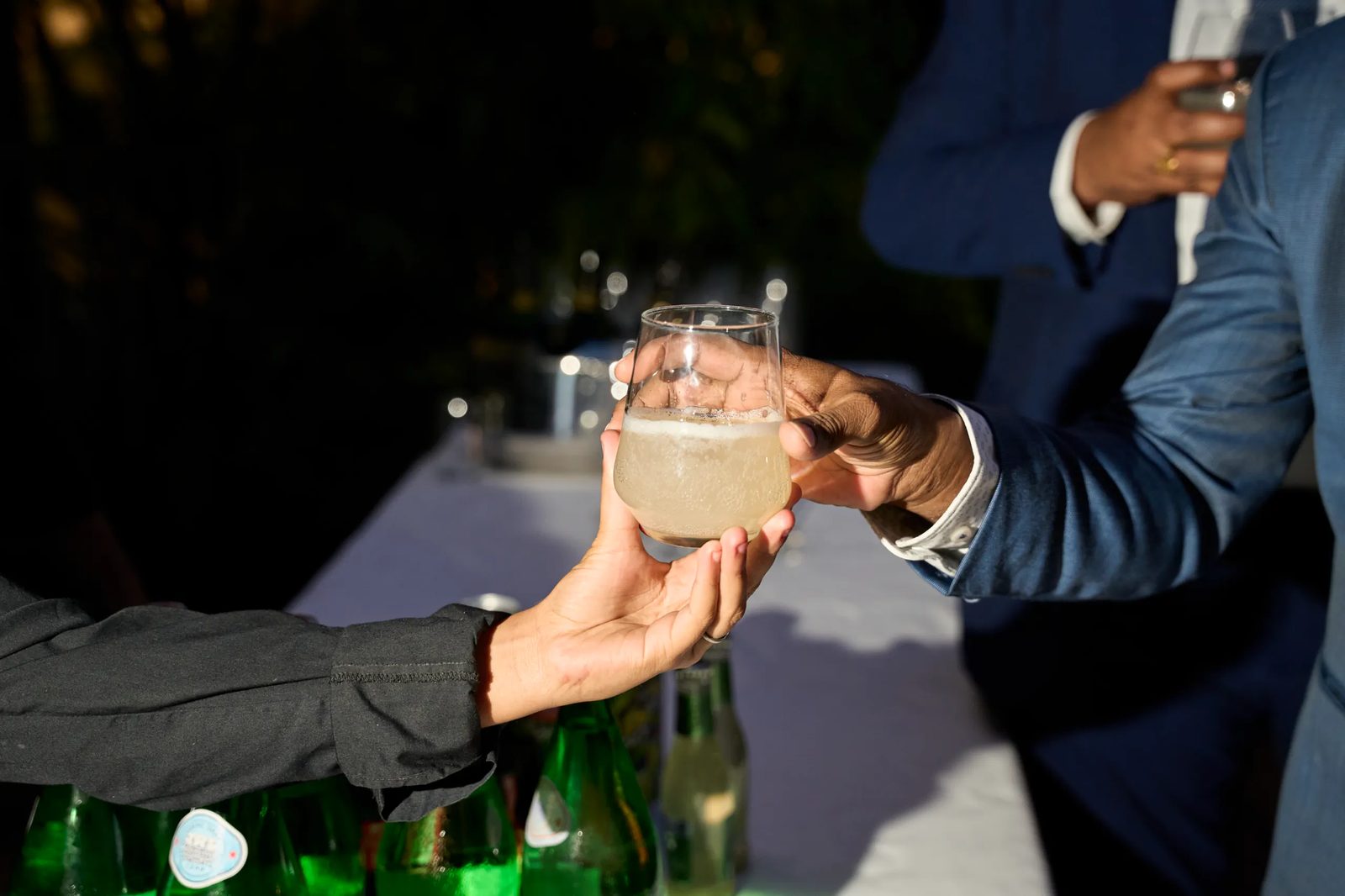Toast at the Laurus Labs reception