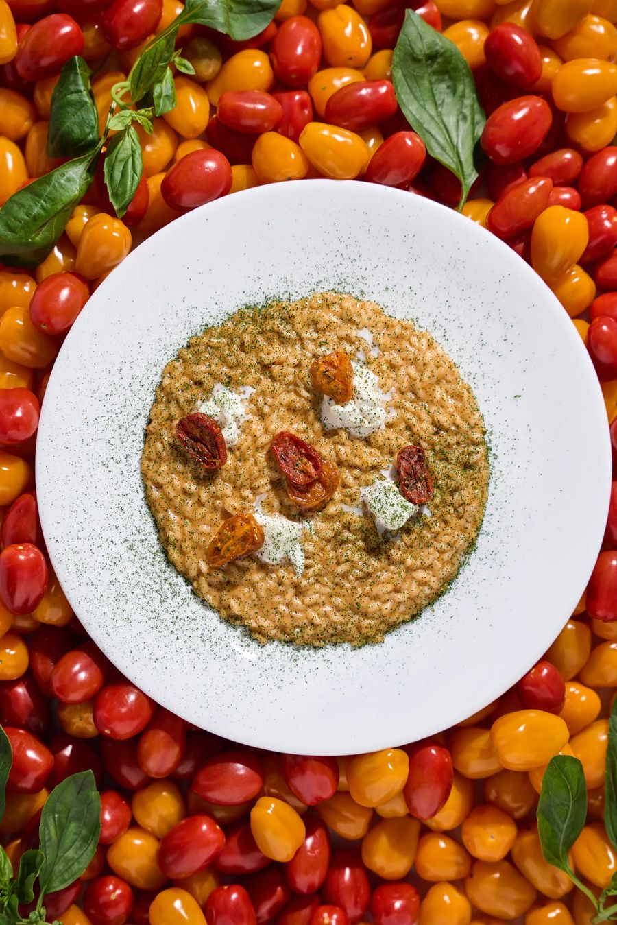 Risotto al pomodoro con datterini confit e stracciatella su letto di pomodorini freschi — creatività italiana, fotografo food Lombardia