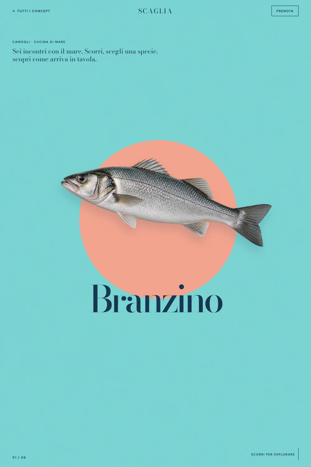 Anteprima del concept Scaglia